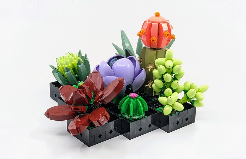 10309: LEGO Botanical Collection Succulents Set Review