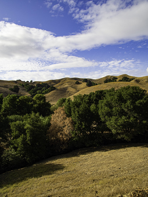 Golden California Hills