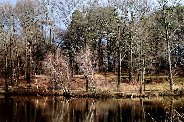 Scarboro Pond