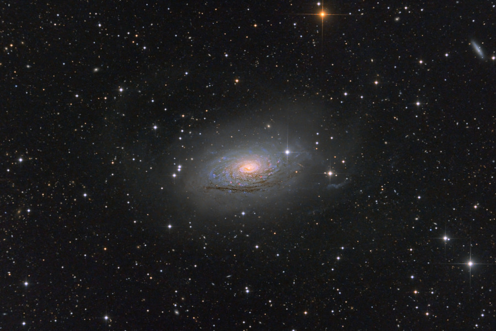 M63 and its tidal stream