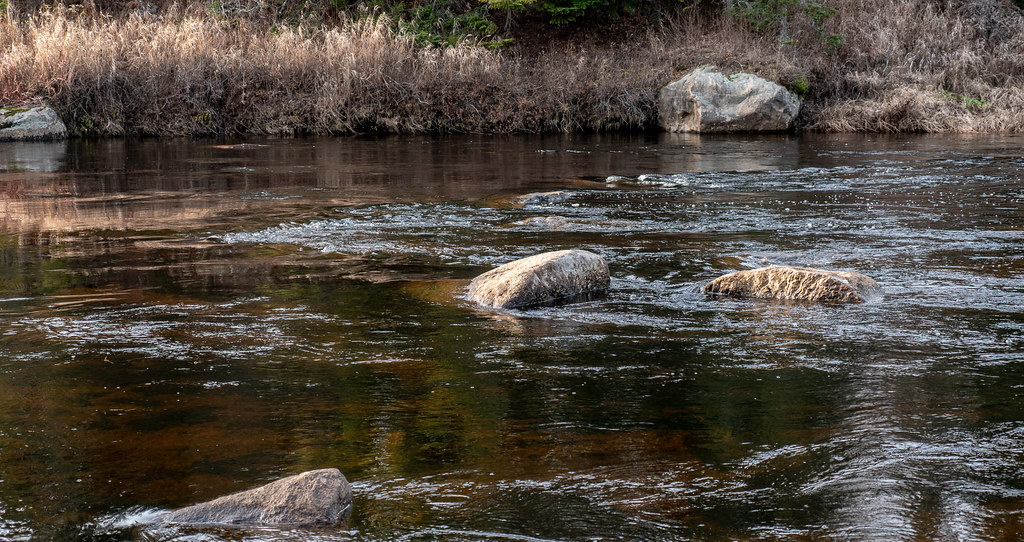 Cedar River