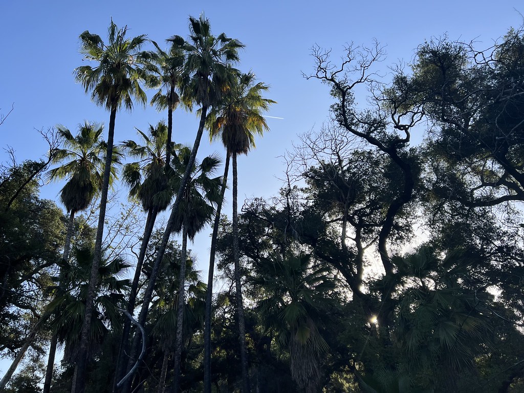 Santa Paula Canyon Trail