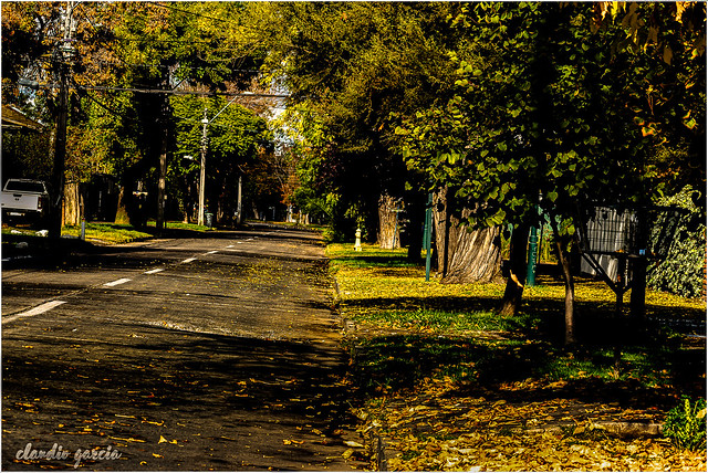 Las calles de mi barrio (recorridos de otoño) / The streets of my neighborhood (autumn tours) (Explore 18-04-2022)