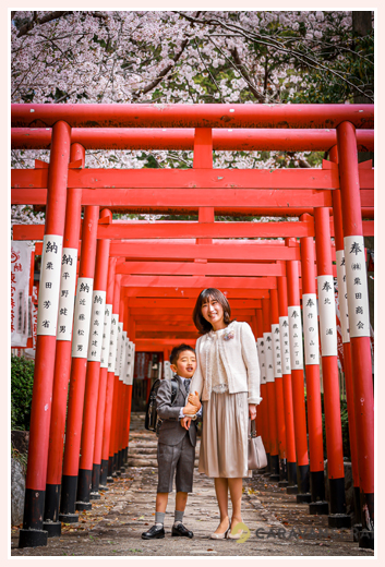 名古屋市の成海神社　満開の桜と赤い鳥居をバックに