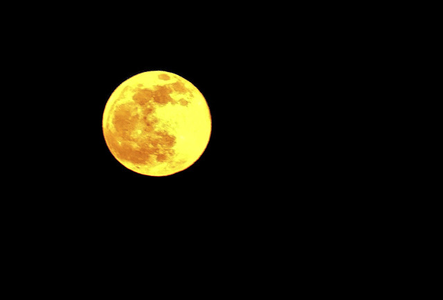 Lune rousse   16 Avril 2022