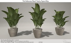 .:Tm:.Creation "Pot Heliconia Plant" Pack 3 Types GP52