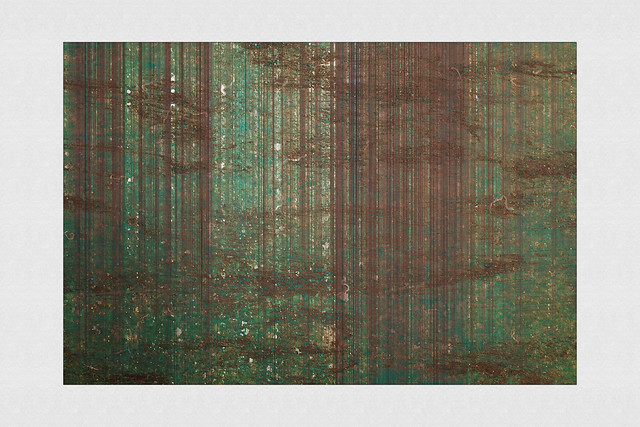 on wandering the forest II (R3529)