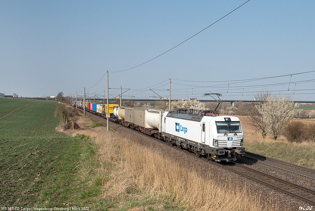193 585 ČD Cargo | Magdeburg-Diesdorf | März 2022