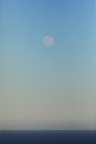 0J1A4014_Pink Moon rising, View from Signal Hill, St_John's_flkr_2 | by daveg1717