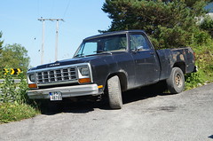 1983 Dodge D150 Pickup