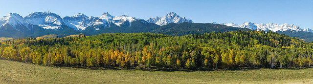 Aspen Trees in front of Long Range of Snow-covered Peaks – Colorado A 24