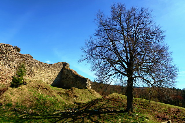 The ruins of the Lanšperk castle.