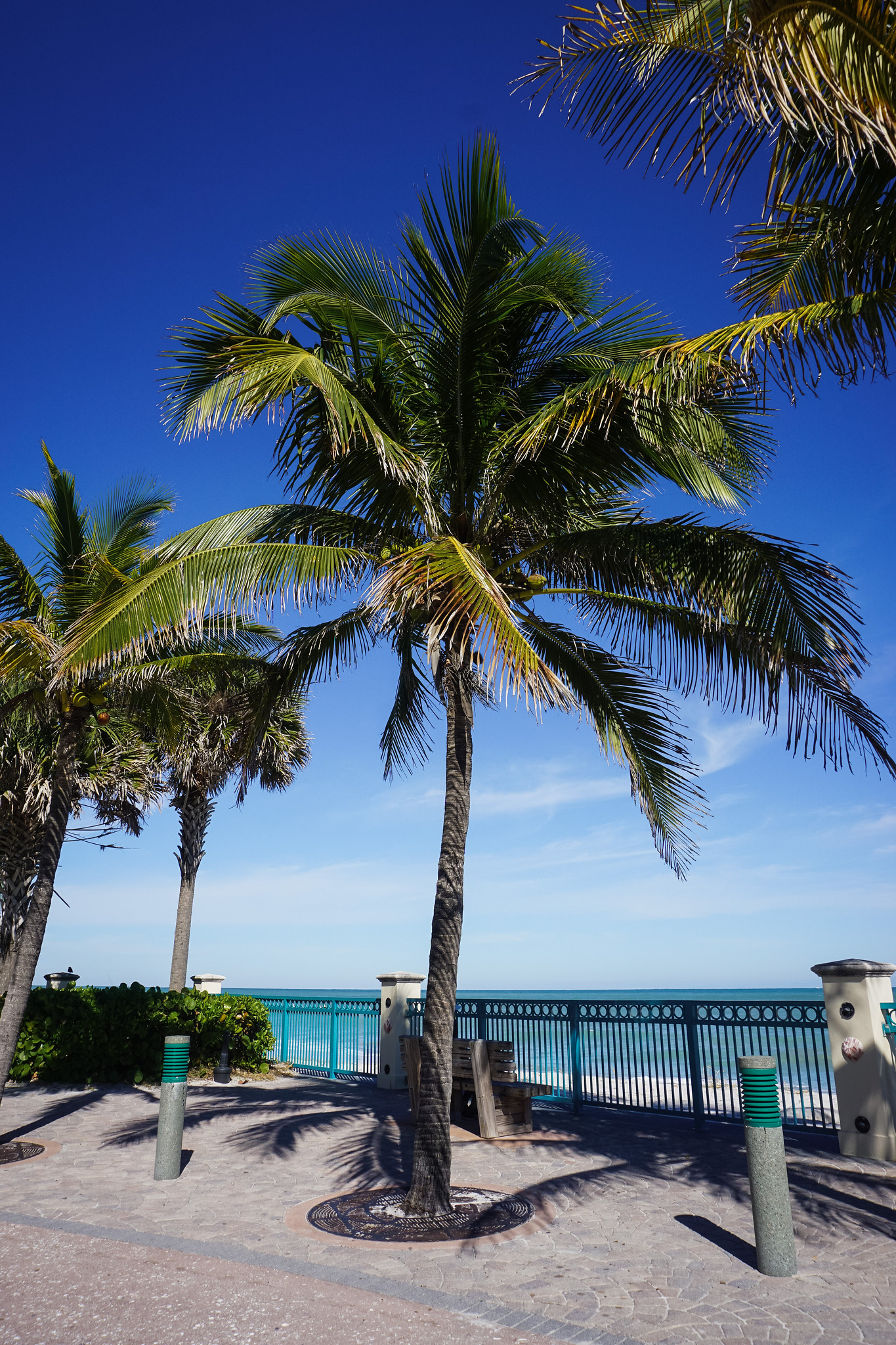 Best Things to Do in Vero Beach, Florida | Ultimate Travel Guide Vero Beach, FL | What to do in Vero Beach | Best Restaurants Vero Beach | What to Eat in Vero Beach Florida | Visit Indian River County Florida | Treasure Coast Travel Guide | Southern Florida Vacation