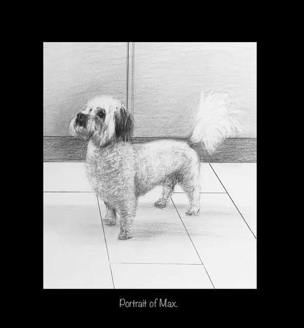 Pencil drawing by jmsw on thick card. Portrait of Max.