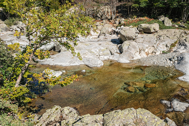 Clear basin of the Agnone stream between Onda and Vizzavona - GR20 - Corsica - France