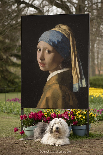 the girl with the pearl earring