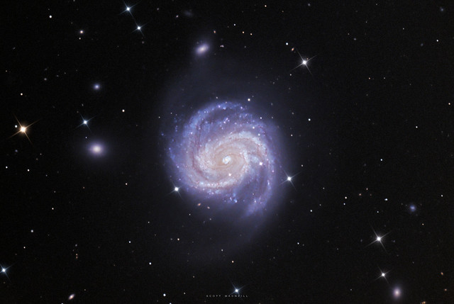 The Messier 100 Galaxy