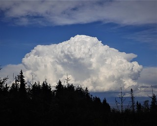 Massive Cumulonimbus cloud SR601564