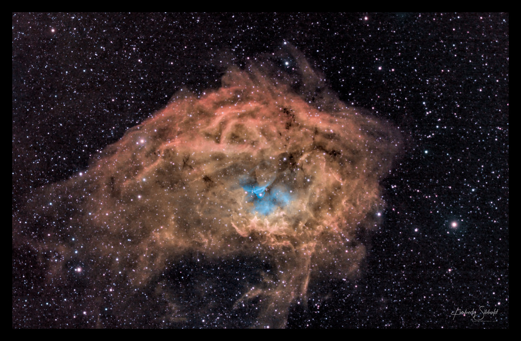SH2-261 Lower's Nebula