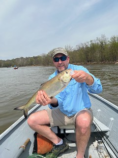 Photo of man in a small boat holding a shad