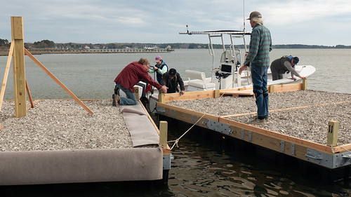 Photo of biologists installing the floating rafts