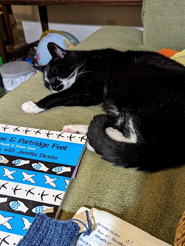 A domestic short hair tuxedo cat is sleeping with his tail curled around back legs and part of Flying Geese and Partridge Feet book is showing on a sage green couch.