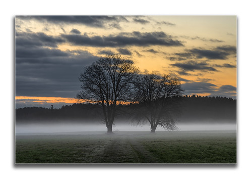 Am Morgen by Robby Metz, Unterwegs in der Reischenau.germany bavaria reischenau naturparkaugsburgwestlichewälder landscape fo