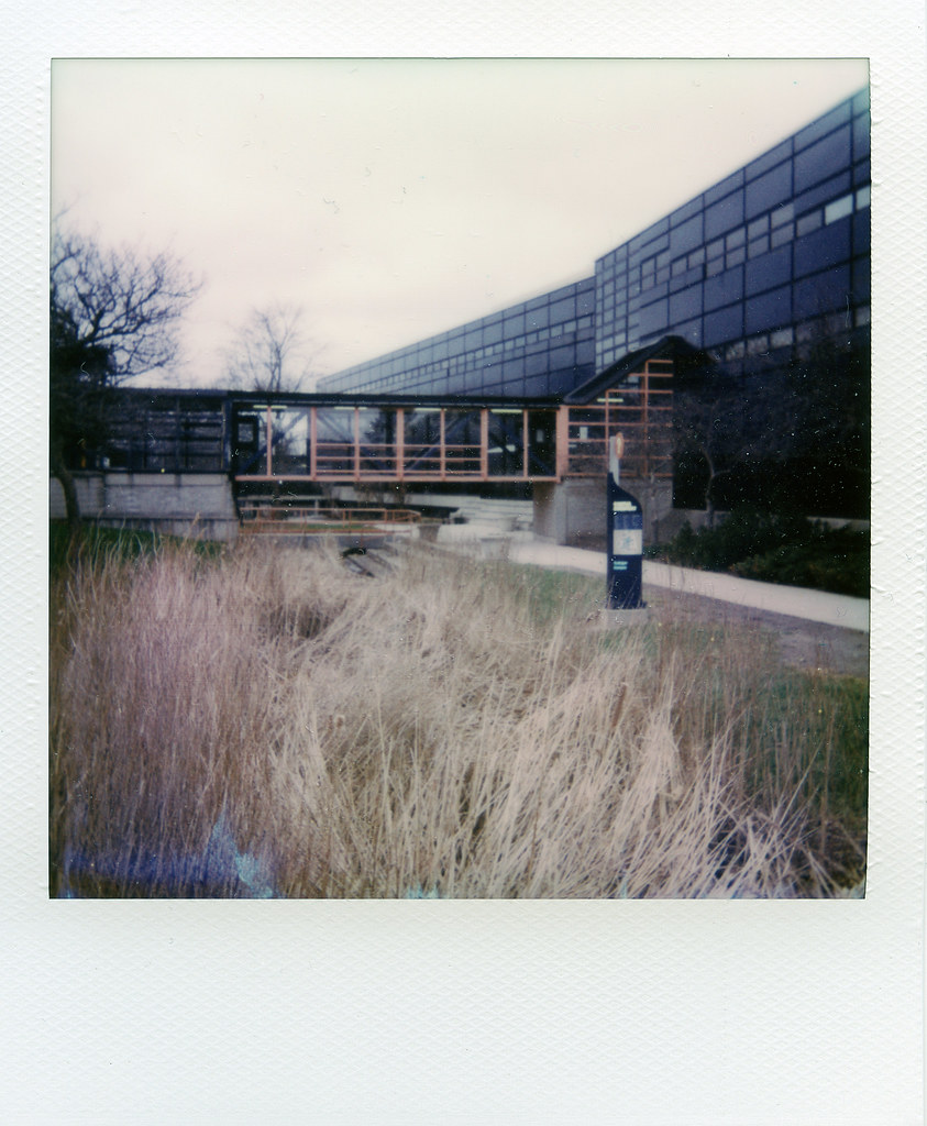 Film Review Blog No. 86 - Polaroid Color600-