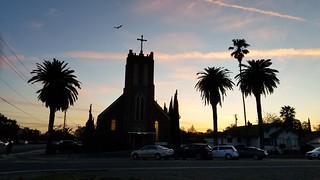 Church with tree & bird silhouettes