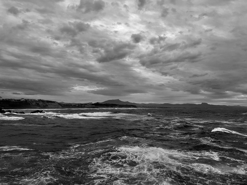 IMG_2472 | David Phillips | Flickr