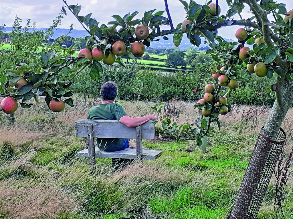 Wade in his orchard