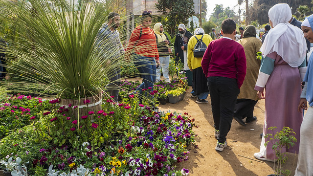 Inside Egypt's Spring Flowers show 2022