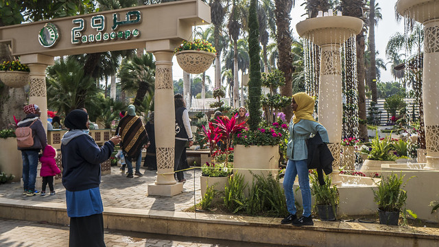 Inside Egypt's Spring Flowers show 2022