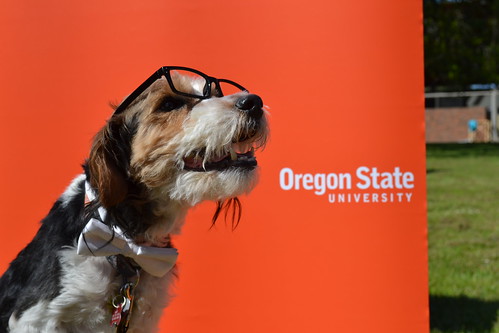 Pet Day at OSU's Carlson College of Veterinary Medicine