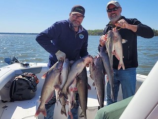 Photo of two men on a boat holding up several catfish