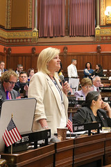Rep. Haines debates legislation in the House Chamber