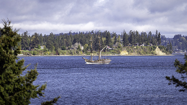 Sailing Ship in the Sound