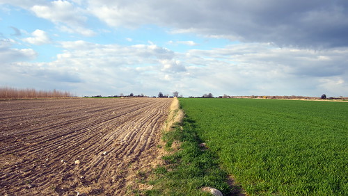 IMGP2222 by Robert Bębenek, Polepole field wiosna spring ziemia ozimina ground mazowsze mazovia niebo sky chmury clouds krajobra