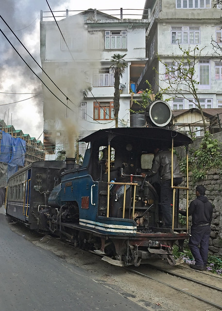 West Bengal (Darjeeling Himalayan Railroad) - 20160310-02a