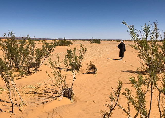 Morocco (Merzouga desert) - 20190322-04a