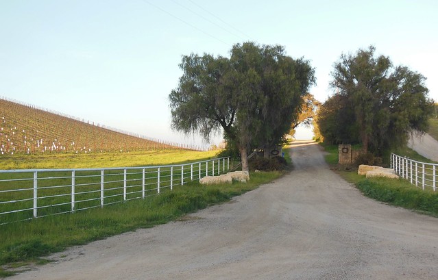 Wine Country along Anderson Road in Paso Robles