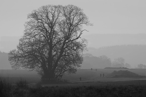 landscape blackandwhite belgium morning mist hiking monochrome pentaxart
