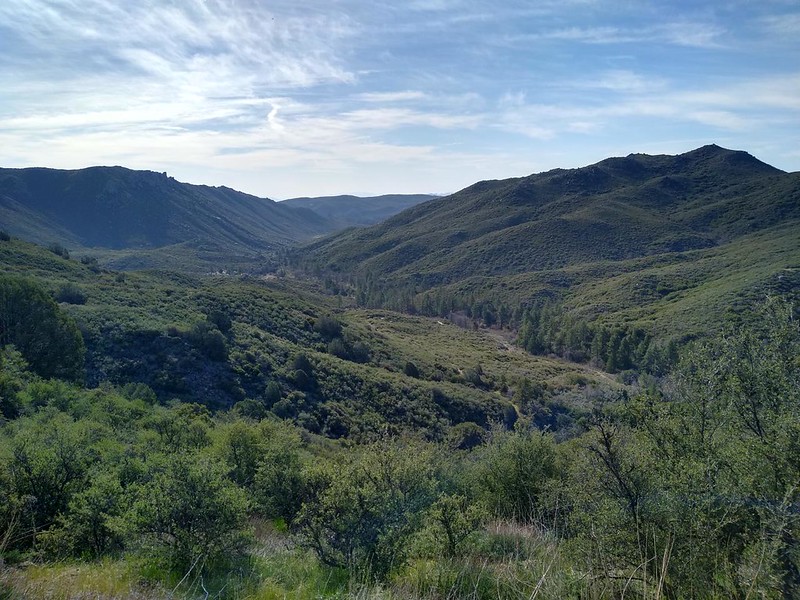 Looking southeast down along La Posta creek at upper Thing Valley, from the Pacific Crest Trail