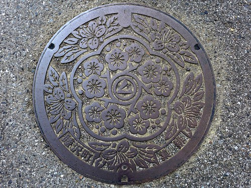 Mutsuzawa Chiba, manhole cover （千葉県睦沢町のマンホール）