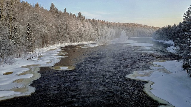 Frost on the river