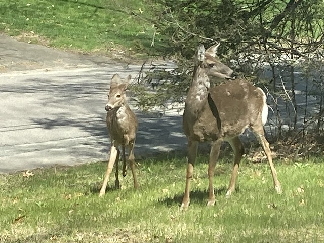 Our visitors