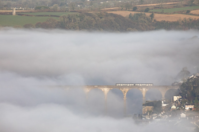 Early morning mist in the Tamar valley-2