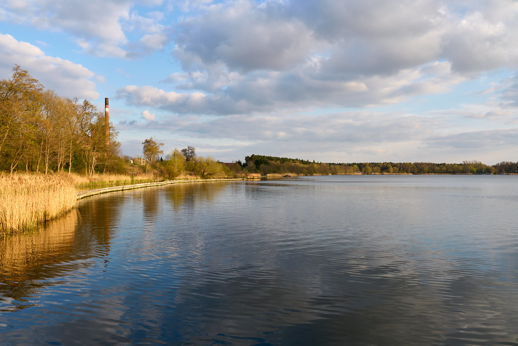 Jezioro Mikorzyńskie, Wąsosze