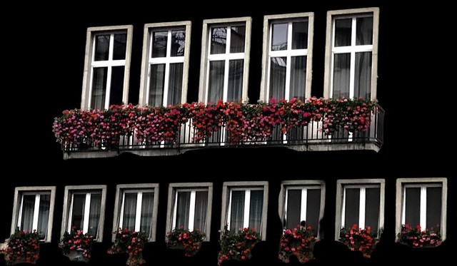 Window Boxes on Balcony in Lucerne