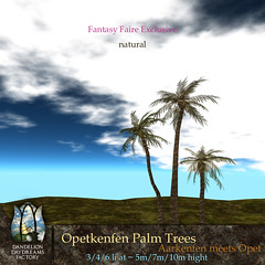 DDDF Opetkenfen Palm Trees - natural